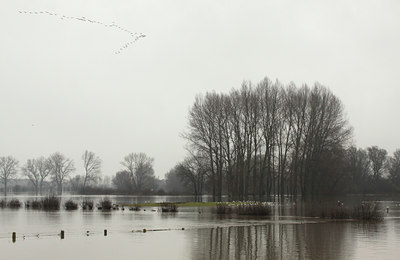 BUITEN BEELD Foto: 115019
