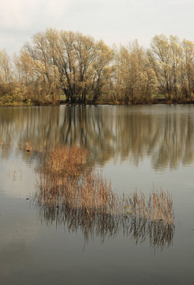 BUITEN BEELD Foto: 115022