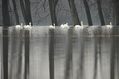 BUITEN BEELD Foto: 115027