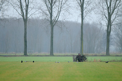 BUITEN BEELD Foto: 115029