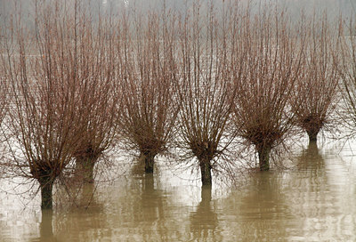 BUITEN BEELD Foto: 115033