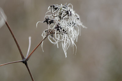 BUITEN BEELD Foto: 115069