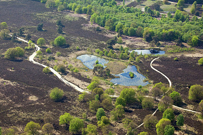 BUITEN BEELD Foto: 115081