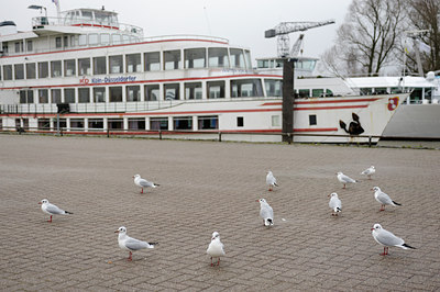 BUITEN BEELD Foto: 115130