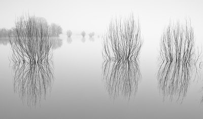 BUITEN BEELD Foto: 115142