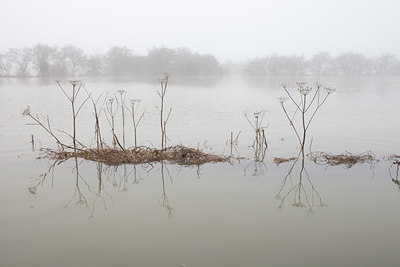 BUITEN BEELD Foto: 115147