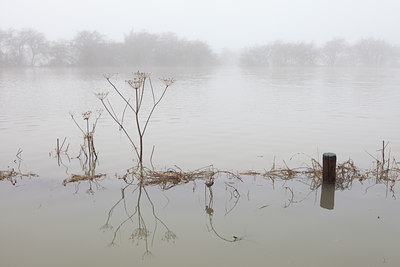 BUITEN BEELD Foto: 115148