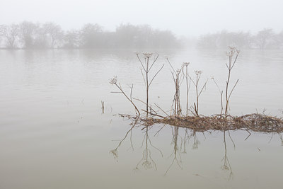 BUITEN BEELD Foto: 115149
