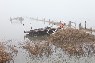 BUITEN BEELD Foto: 115151
