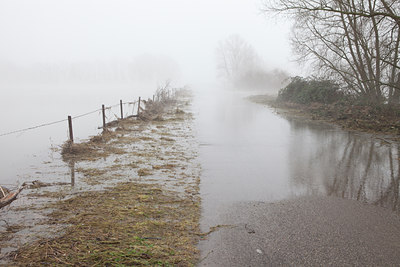 BUITEN BEELD Foto: 115157
