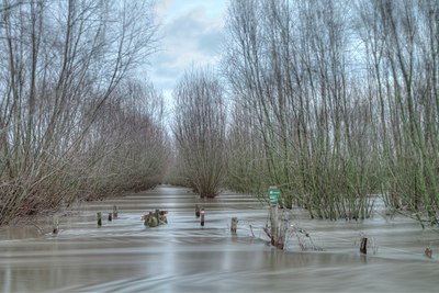 BUITEN BEELD Foto: 115159