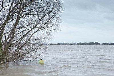 BUITEN BEELD Foto: 115160