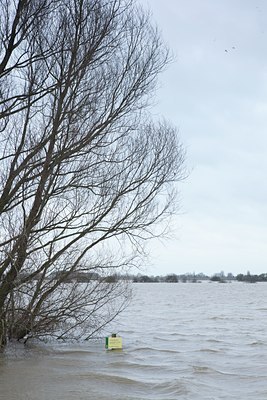 BUITEN BEELD Foto: 115161