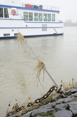 BUITEN BEELD Foto: 115186