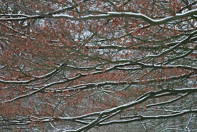 BUITEN BEELD Foto: 115224