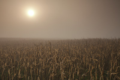 BUITEN BEELD Foto: 115227
