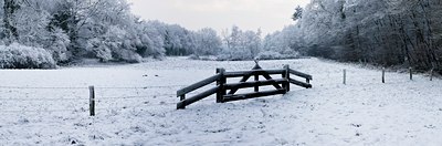 BUITEN BEELD Foto: 115230