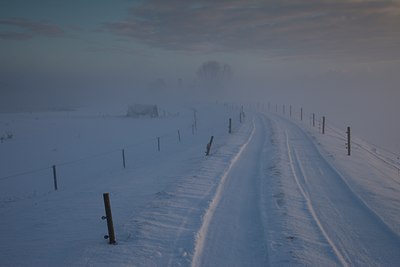 BUITEN BEELD Foto: 115231