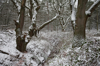 BUITEN BEELD Foto: 115244