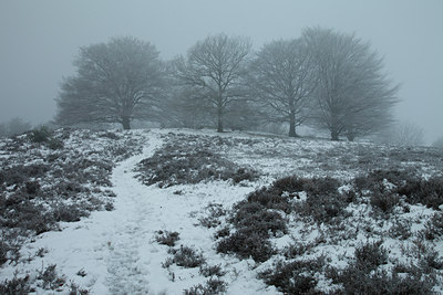BUITEN BEELD Foto: 115245