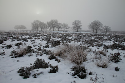BUITEN BEELD Foto: 115249