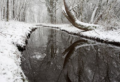 BUITEN BEELD Foto: 115254