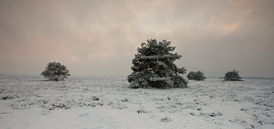 BUITEN BEELD Foto: 115256