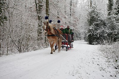 BUITEN BEELD Foto: 115276