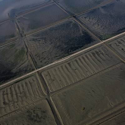 BUITEN BEELD Foto: 115311