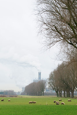 BUITEN BEELD Foto: 115348