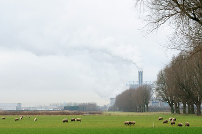 BUITEN BEELD Foto: 115350