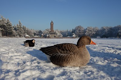 BUITEN BEELD Foto: 115368