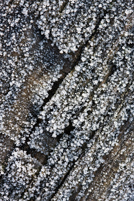 BUITEN BEELD Foto: 115385