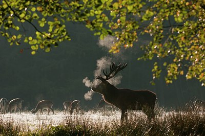 BUITEN BEELD Foto: 115390