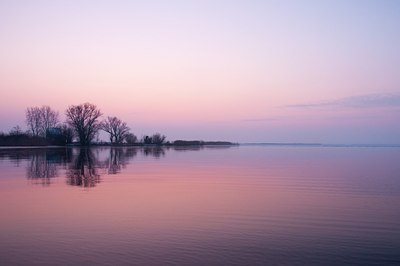 BUITEN BEELD Foto: 115400