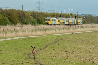 BUITEN BEELD Foto: 115407