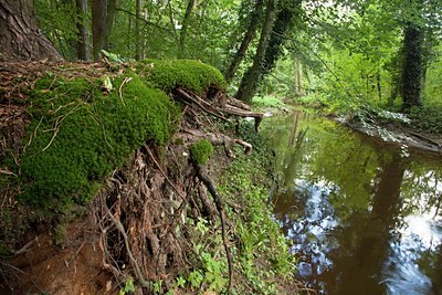 BUITEN BEELD Foto: 115432