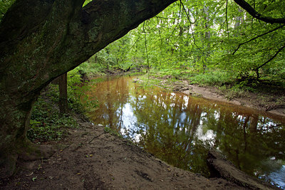 BUITEN BEELD Foto: 115434