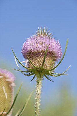 BUITEN BEELD Foto: 115448