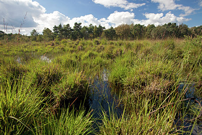 BUITEN BEELD Foto: 115463