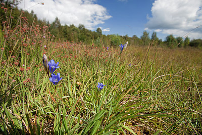 BUITEN BEELD Foto: 115467