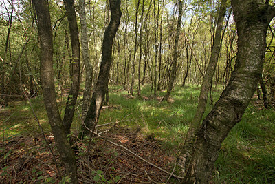 BUITEN BEELD Foto: 115470