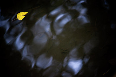 BUITEN BEELD Foto: 115474