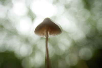 BUITEN BEELD Foto: 115500