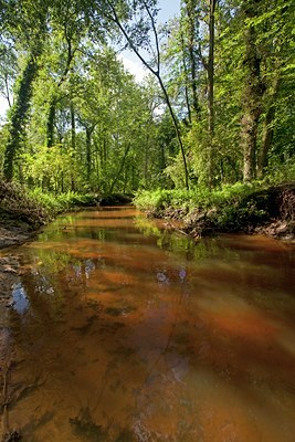 BUITEN BEELD Foto: 115507