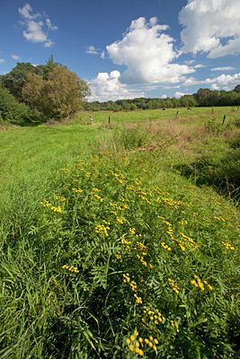 BUITEN BEELD Foto: 115532