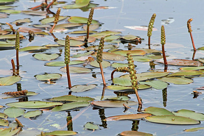 BUITEN BEELD Foto: 115619