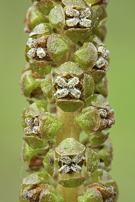 BUITEN BEELD Foto: 115635