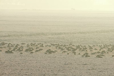 BUITEN BEELD Foto: 115645