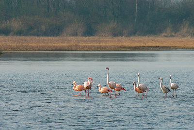 BUITEN BEELD Foto: 115674